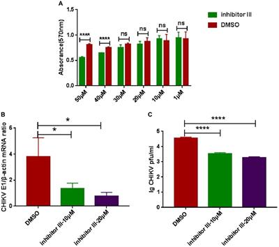 Calpain-2 protein influences chikungunya virus replication and regulates vimentin rearrangement caused by chikungunya virus infection